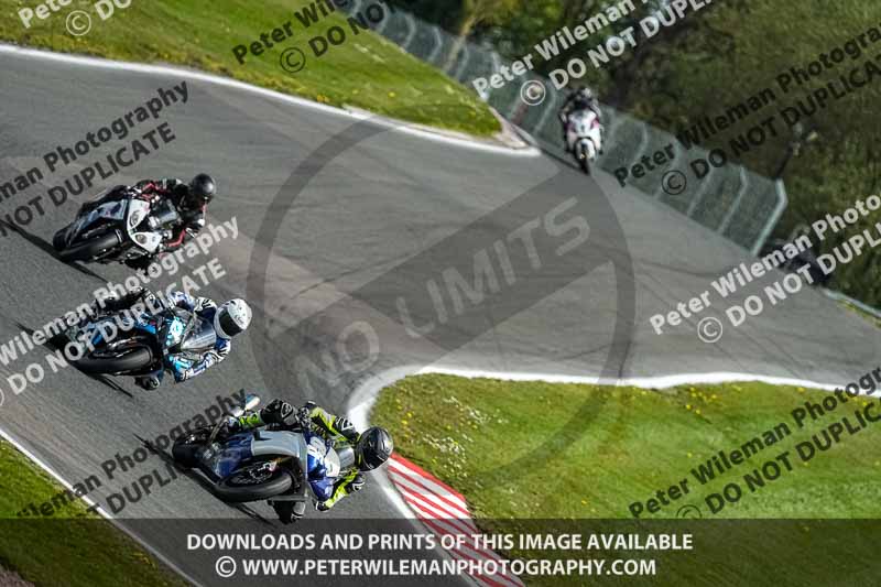 anglesey;brands hatch;cadwell park;croft;donington park;enduro digital images;event digital images;eventdigitalimages;mallory;no limits;oulton park;peter wileman photography;racing digital images;silverstone;snetterton;trackday digital images;trackday photos;vmcc banbury run;welsh 2 day enduro